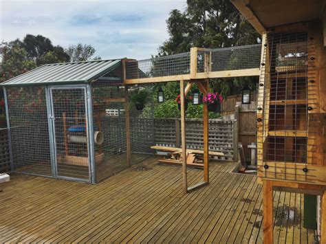 metal outdoor cat enclosures|backyard enclosures for cats.